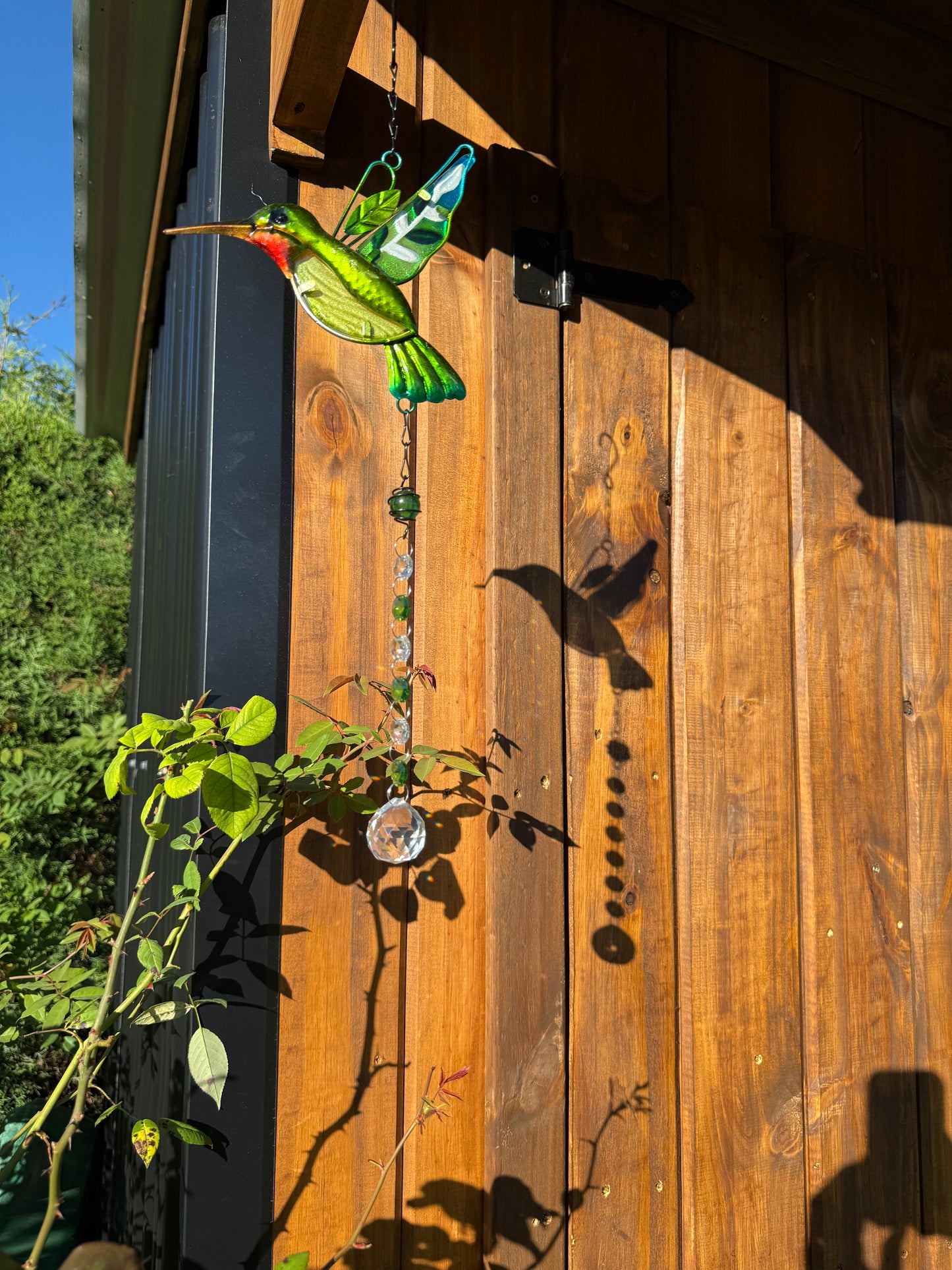 Atrapasol Colibri Green