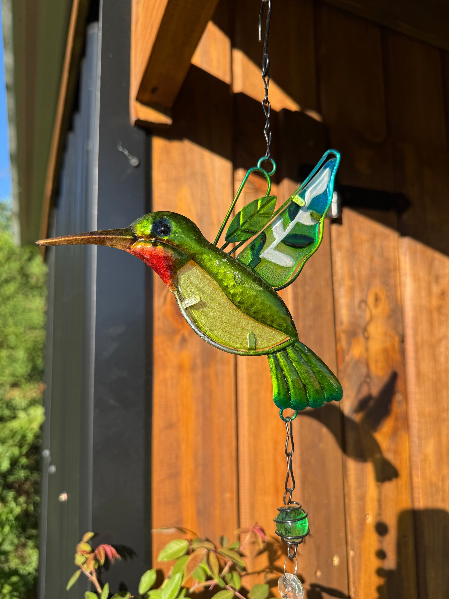 Atrapasol Colibri Green