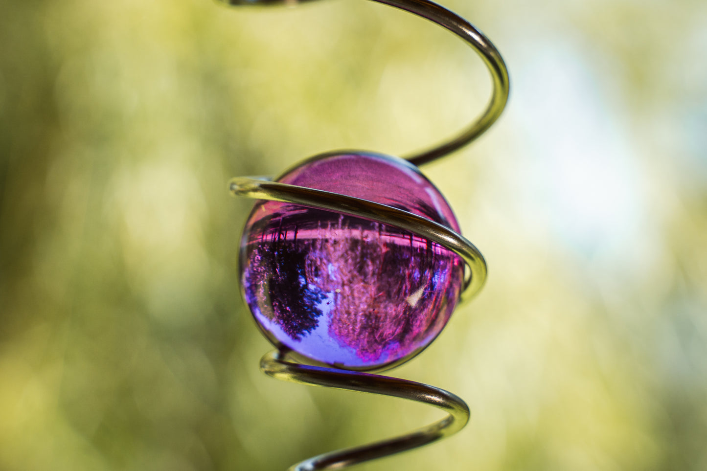 Espiral Violeta