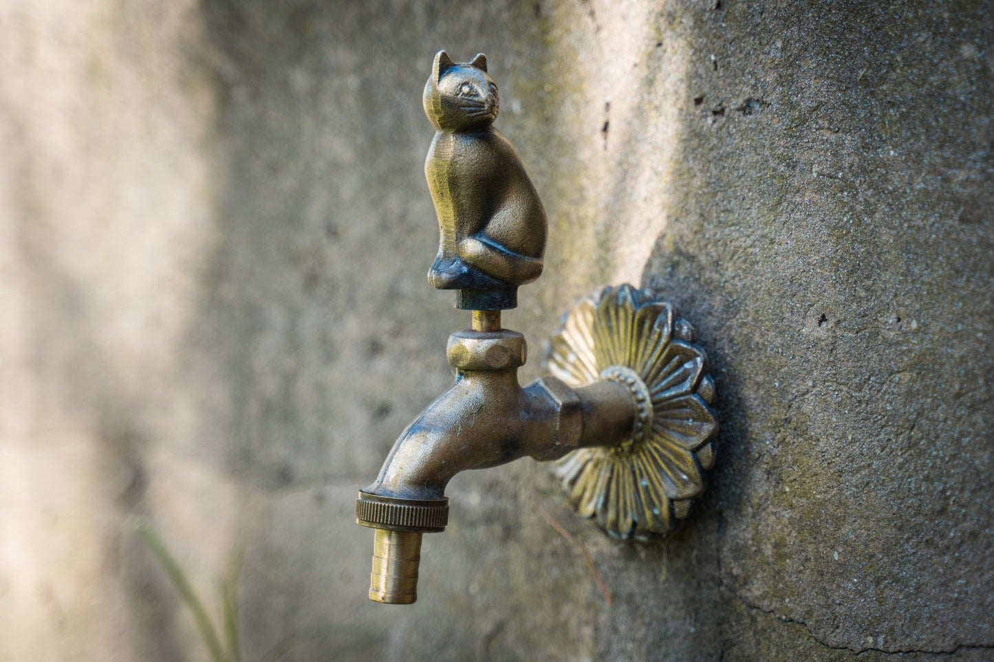 Cat Garden Tap