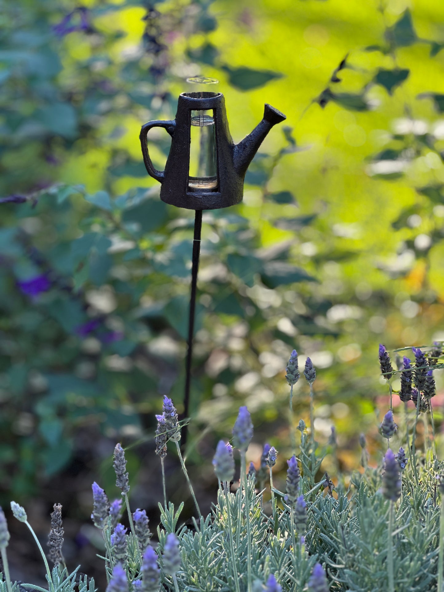 Rain Gauge Watering Can
