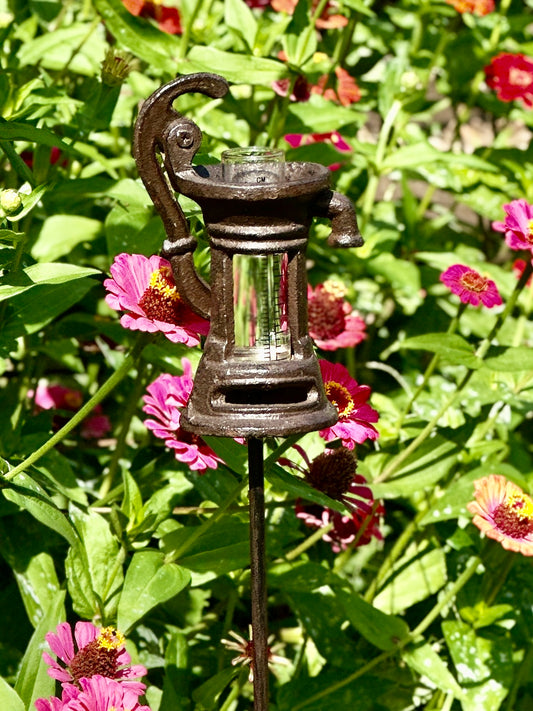 Rain Gauge Pump