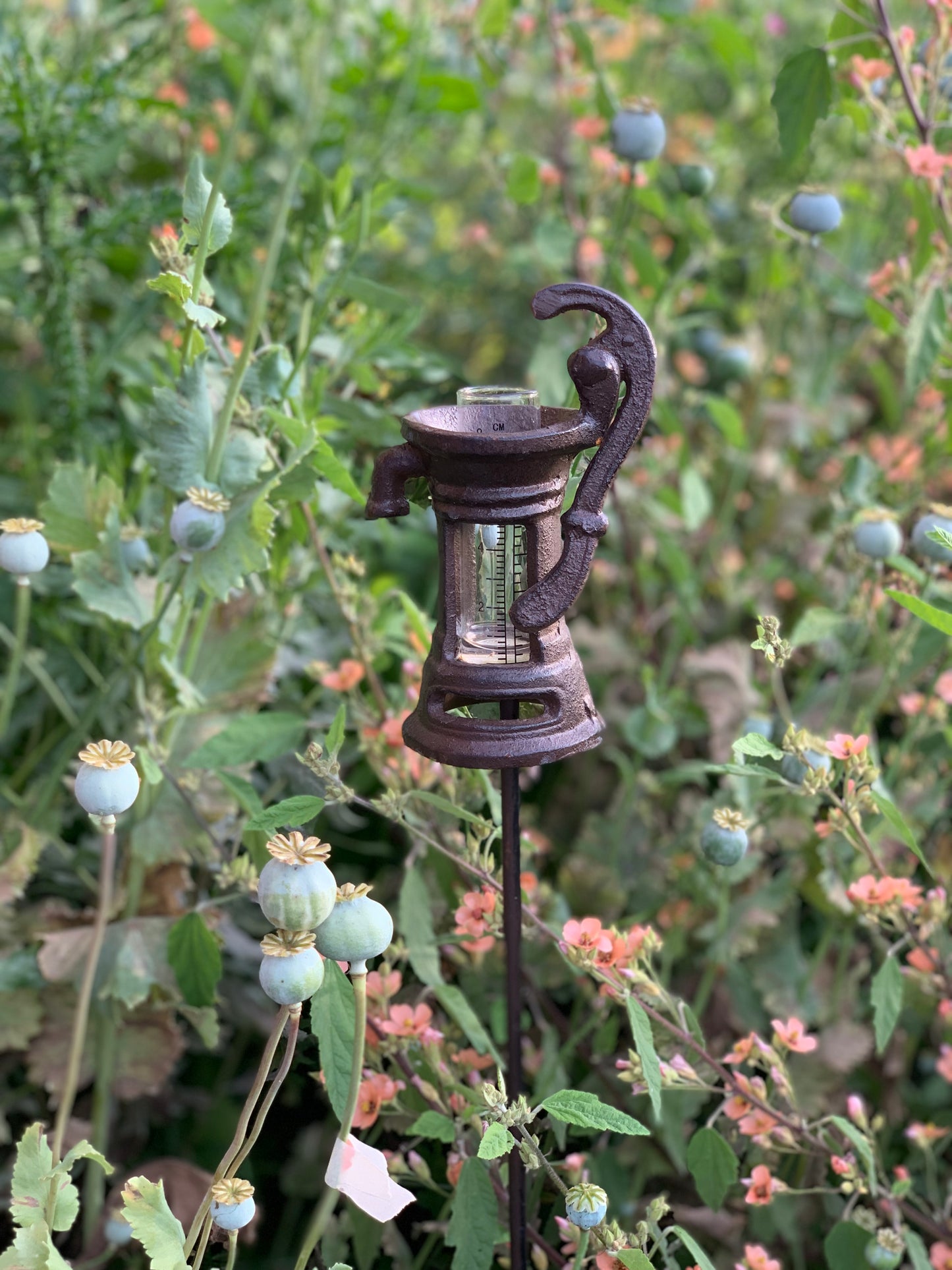 Rain Gauge Pump