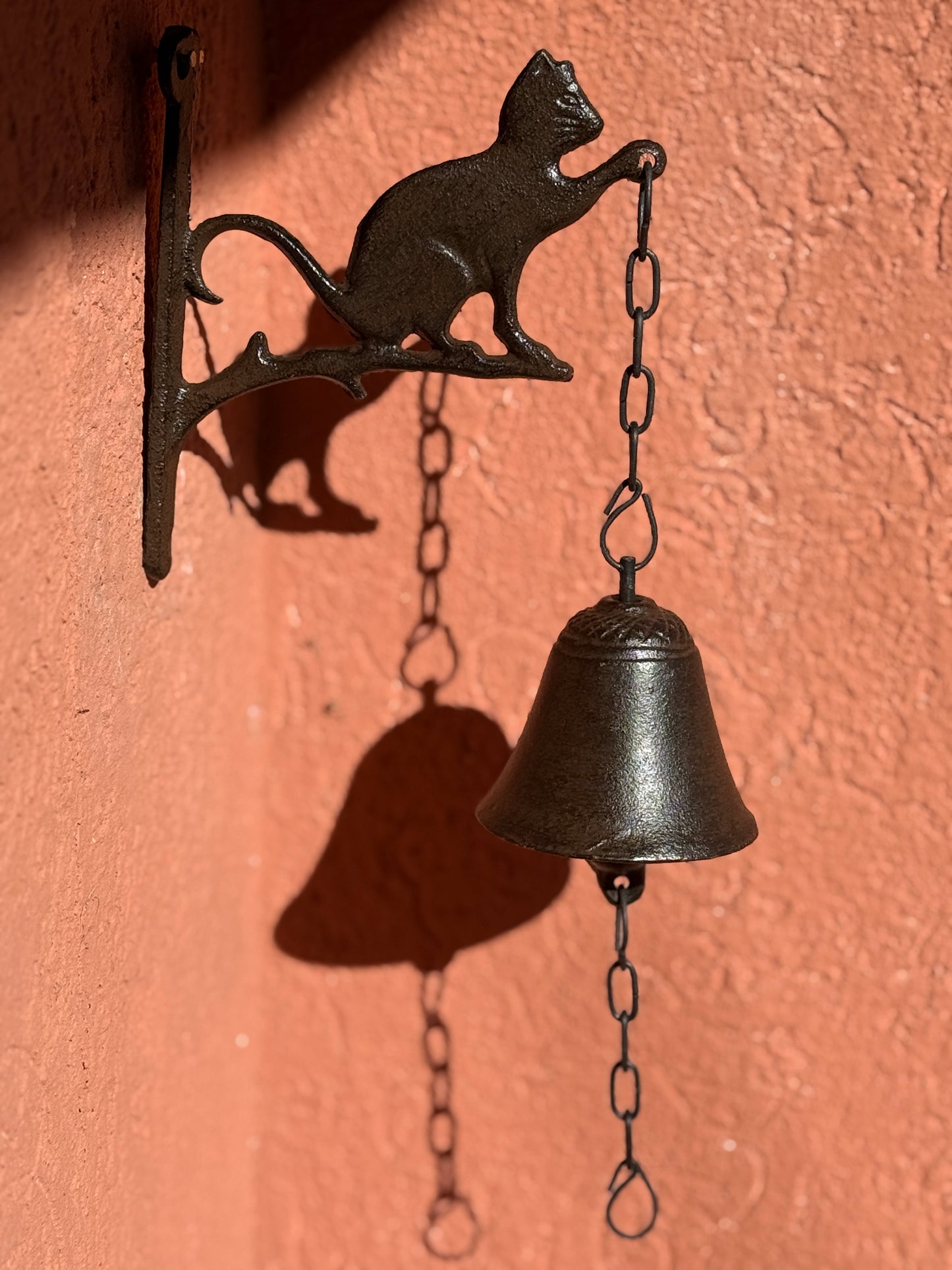 Campana Gato