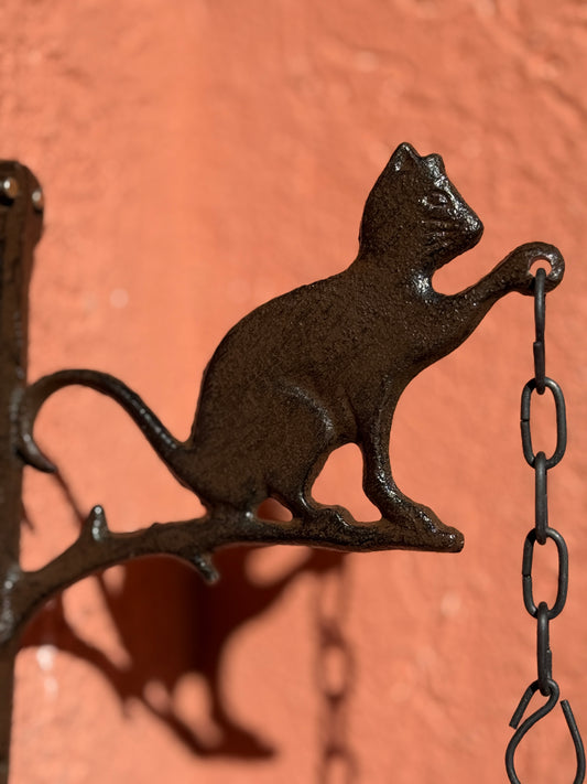 Campana Gato