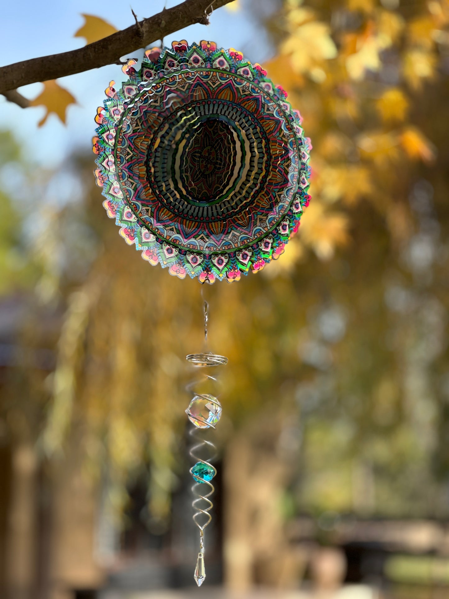 Kit Mandala Kalanchoe + Espiral Doble Turquesa