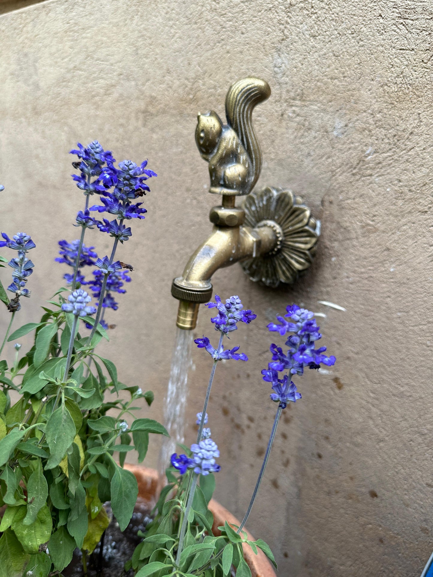 Garden Squirrel Tap