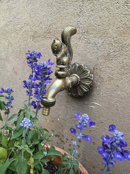 Garden Squirrel Tap